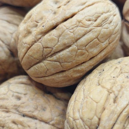 İnce Kabuklu Ceviz 1 Kg