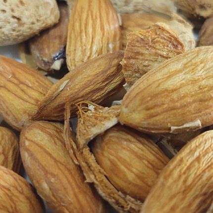 El Bademi 500 Gr