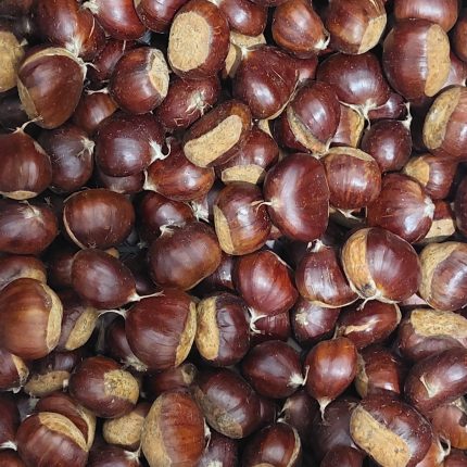 Aydın Kestane 1 Kg